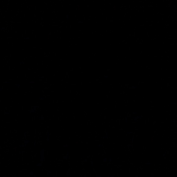 Meet your Posher, Jasmine - Picture 1 of 1